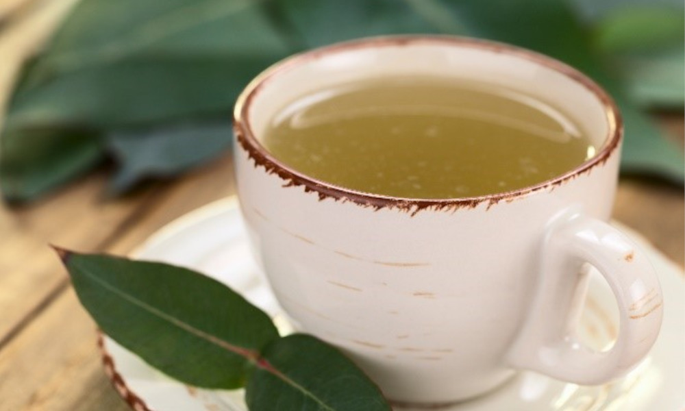 How To Make Homemade Eucalyptus Leaf Tea