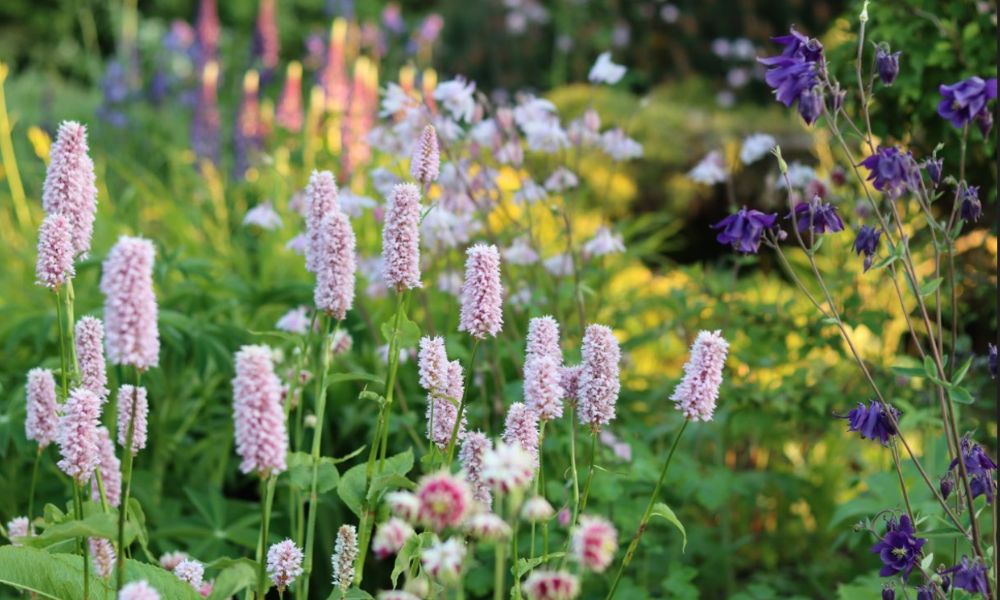 how to create a cottage style garden