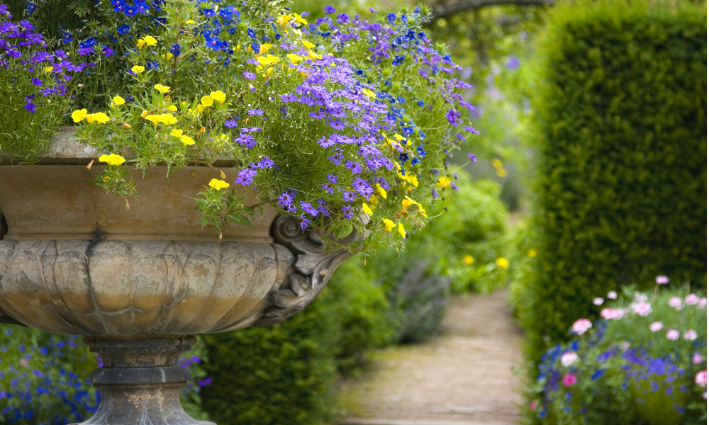 Our Guide to the Ultimate British Cottage Garden