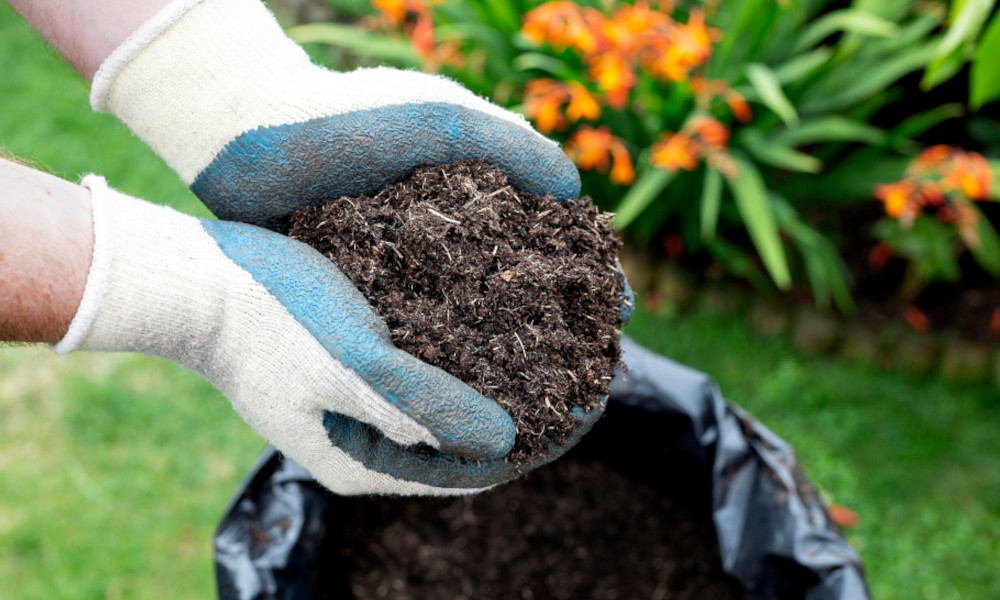 How to apply Mulch
