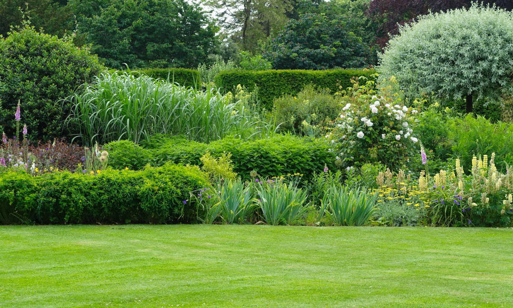 5 Ways to Add Height to Your Garden