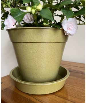 Bamboo Pots Sage Green