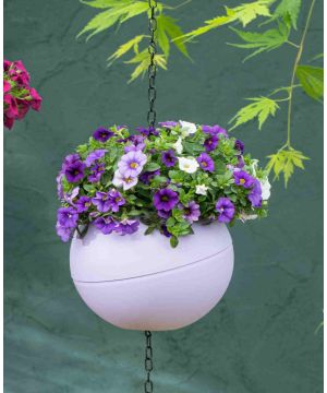 Globee Planter Violet