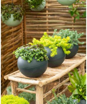 Globee Planter Anthracite