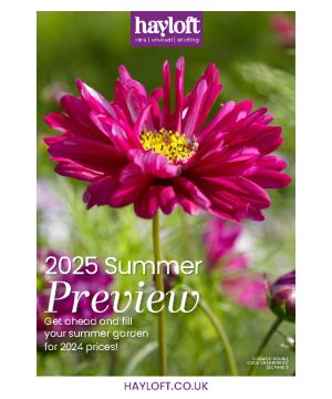 Summer Preview 2024/25