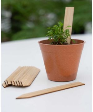 Bamboo Plant Pots and Labels