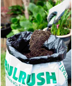 Bulrush Multipurpose Compost 20L