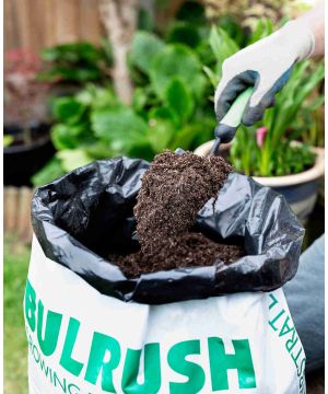 Bulrush Peat-based Compost