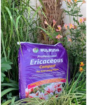 Bulrush Professional Ericaceous Compost