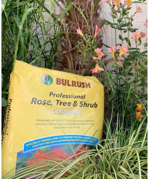 Bulrush Compost Rose Tree Shrub