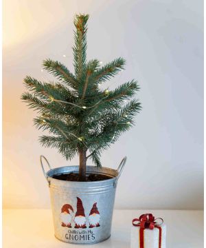 Gnomies Pot and Christmas Tree