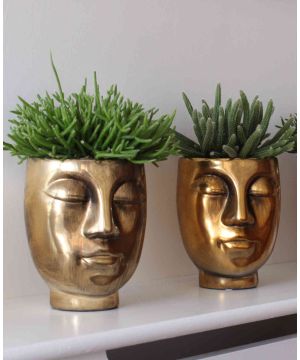 Shiny, Happy Faces in Gold with Succulent