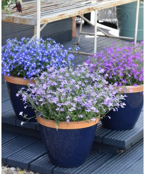 Provence Planter Essential Colours Collection