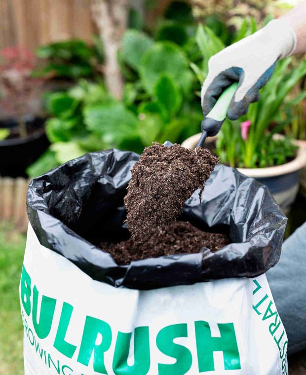 Bulrush Compost & Slow-Release Fertiliser