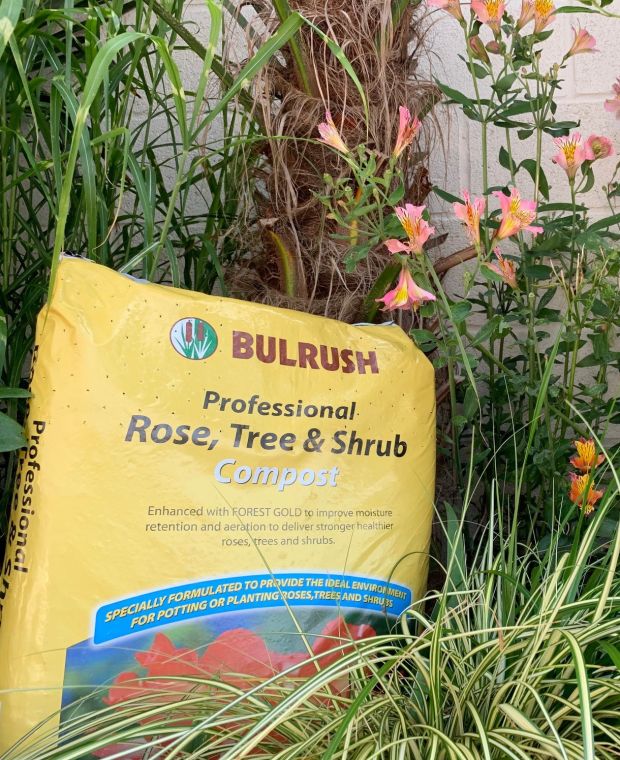 Bulrush Professional Rose, Tree & Shrub Compost