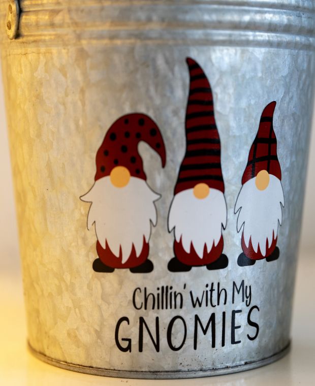 Tin Pail Gnomes Just Chilling 