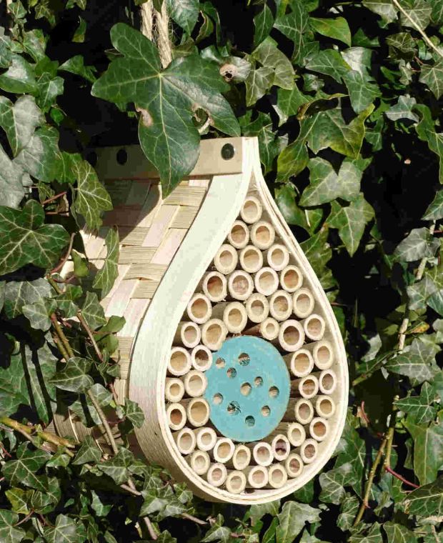 Dewdrop Bee and bug Hotel and Mini Meadow Seed Collection