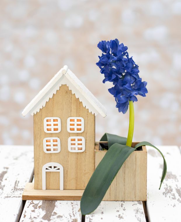 Snow Topped Twinkle Cabin with Hyacinth