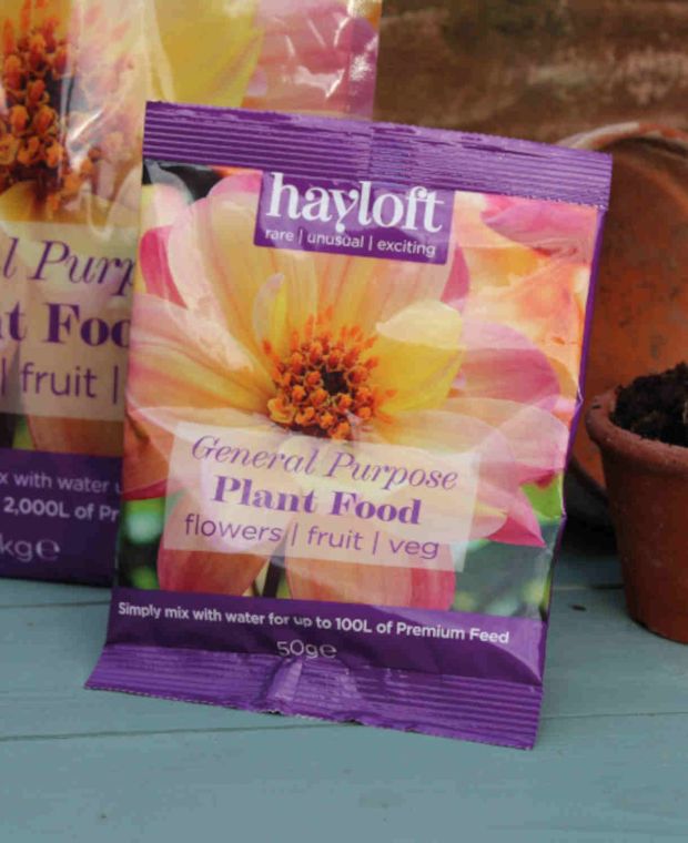 Hayloft General Purpose Plant Food 50g sachet