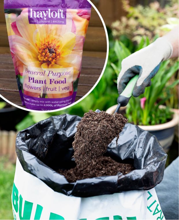 Bulrush Compost & Hayloft Plant Food