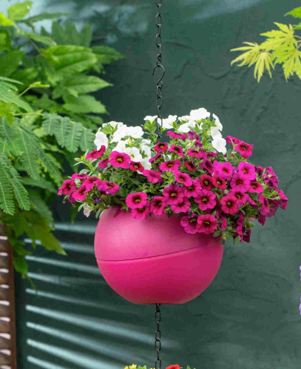 Globee Planter Pink