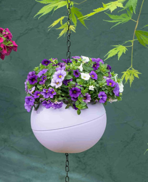 Globee Planter Violet