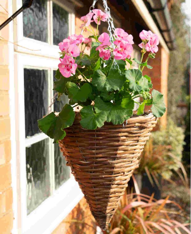 Willow Cone Basket