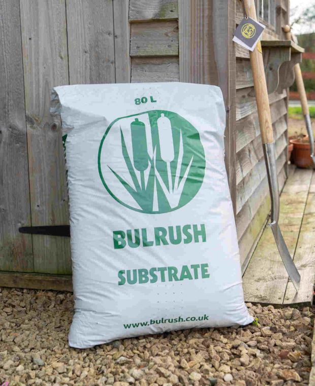 Bulrush Professional Multi-Purpose Compost | Hayloft