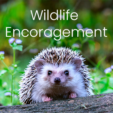 wildlife_encoragement