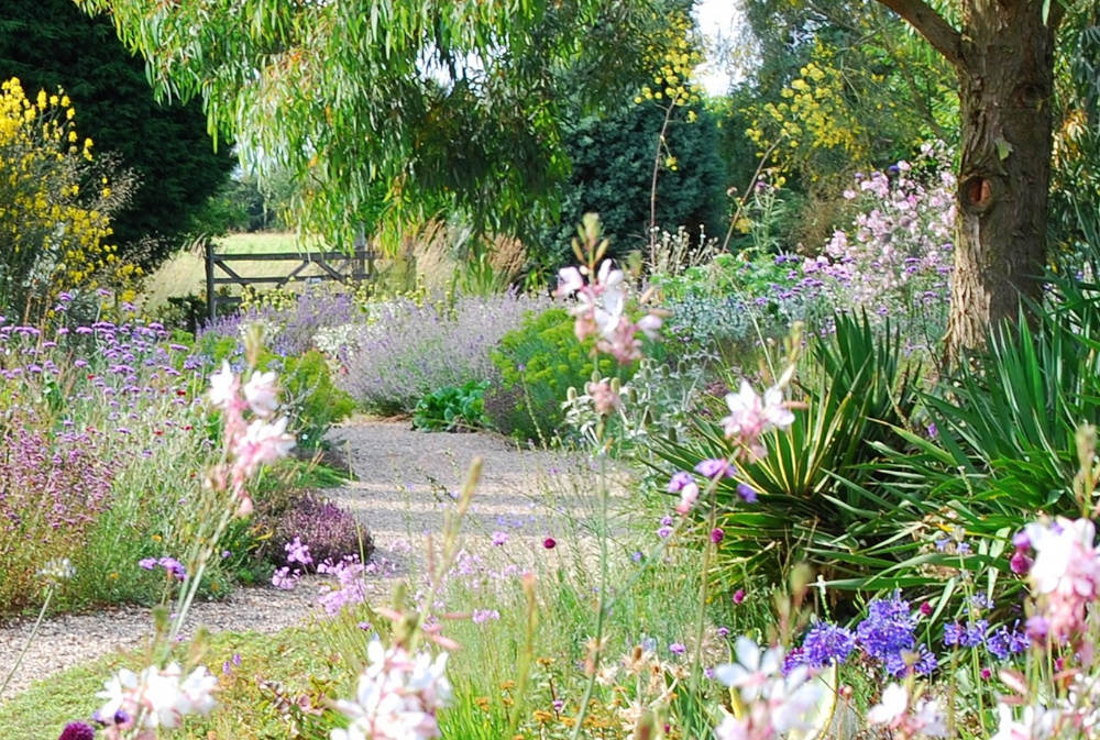 Beth chatto gardens in colchester