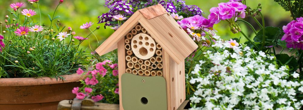 how to create a bee friendly garden