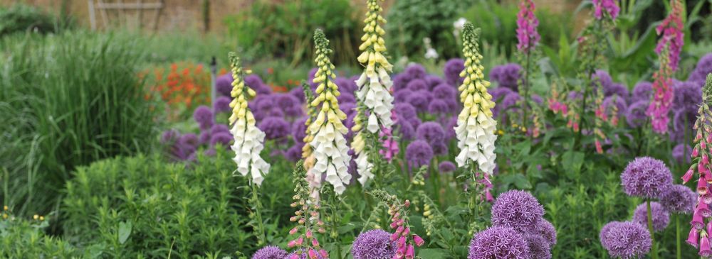 how to create a cottage style garden