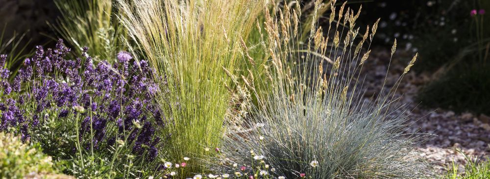 how to create a prairie garden