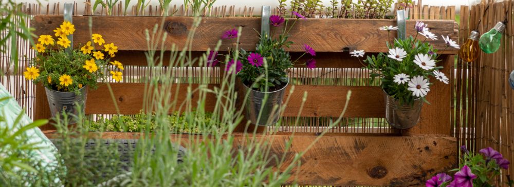 how to create an urban garden