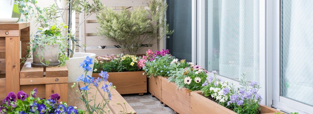 how to create an urban garden