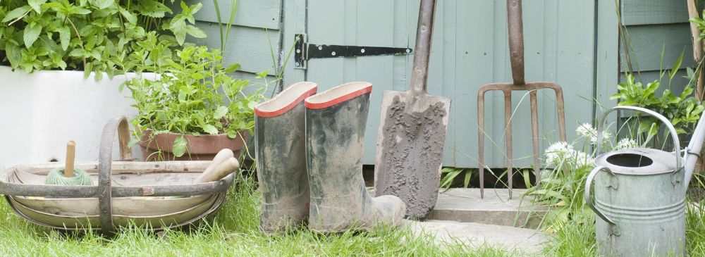 how to prune perennials