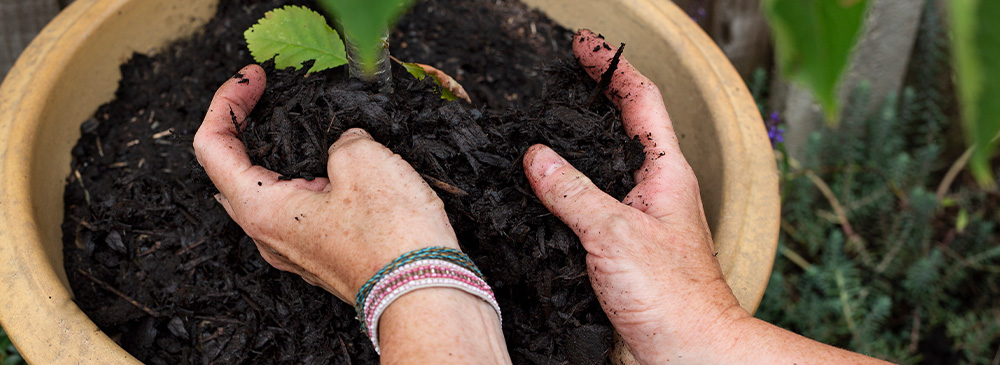 Top 10 tips to prepare your garden for winter