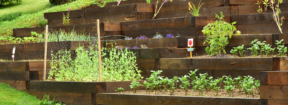 top tips 5 ways to add height to your garden