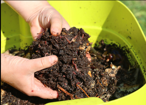 compost_making