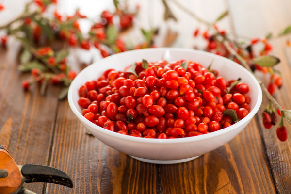 Goji_berry_bowl_600x400-_shutterstock_2530705227