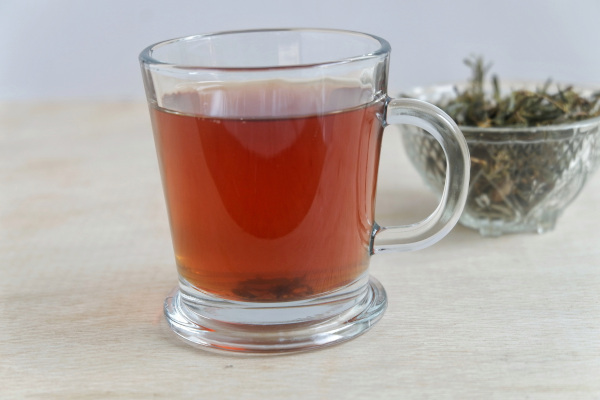 Taxus_herbal_tea_-600x400_shutterstock_2501830701