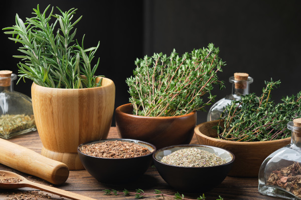 Thyme_and_Rosemary_600x400-_shutterstock_2416092429