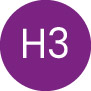 h3