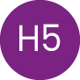 h5