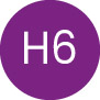 h6