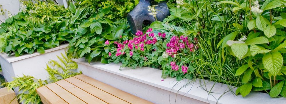 how to create an urban garden