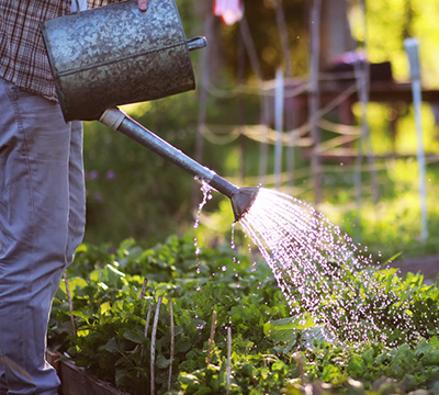 Gardening_Essentials