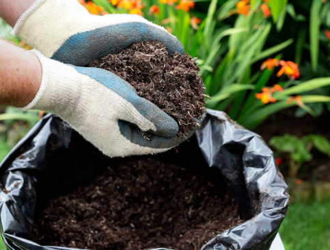 mulch retains moisture levels