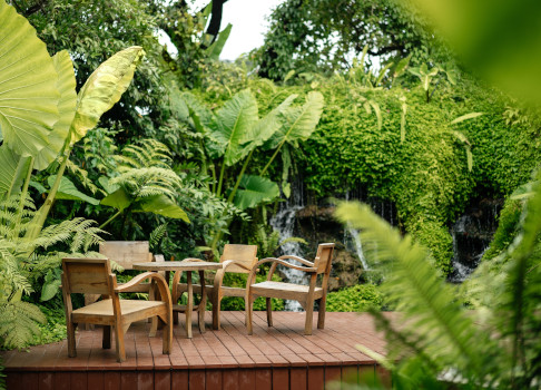 tropical_patio