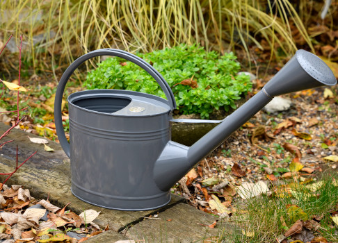 watering_can_1
